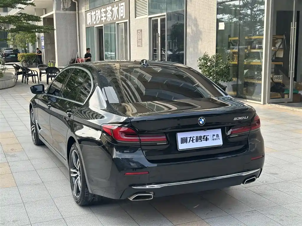BMW 5 Series 2021 530Li Leading Luxury Package фото 20