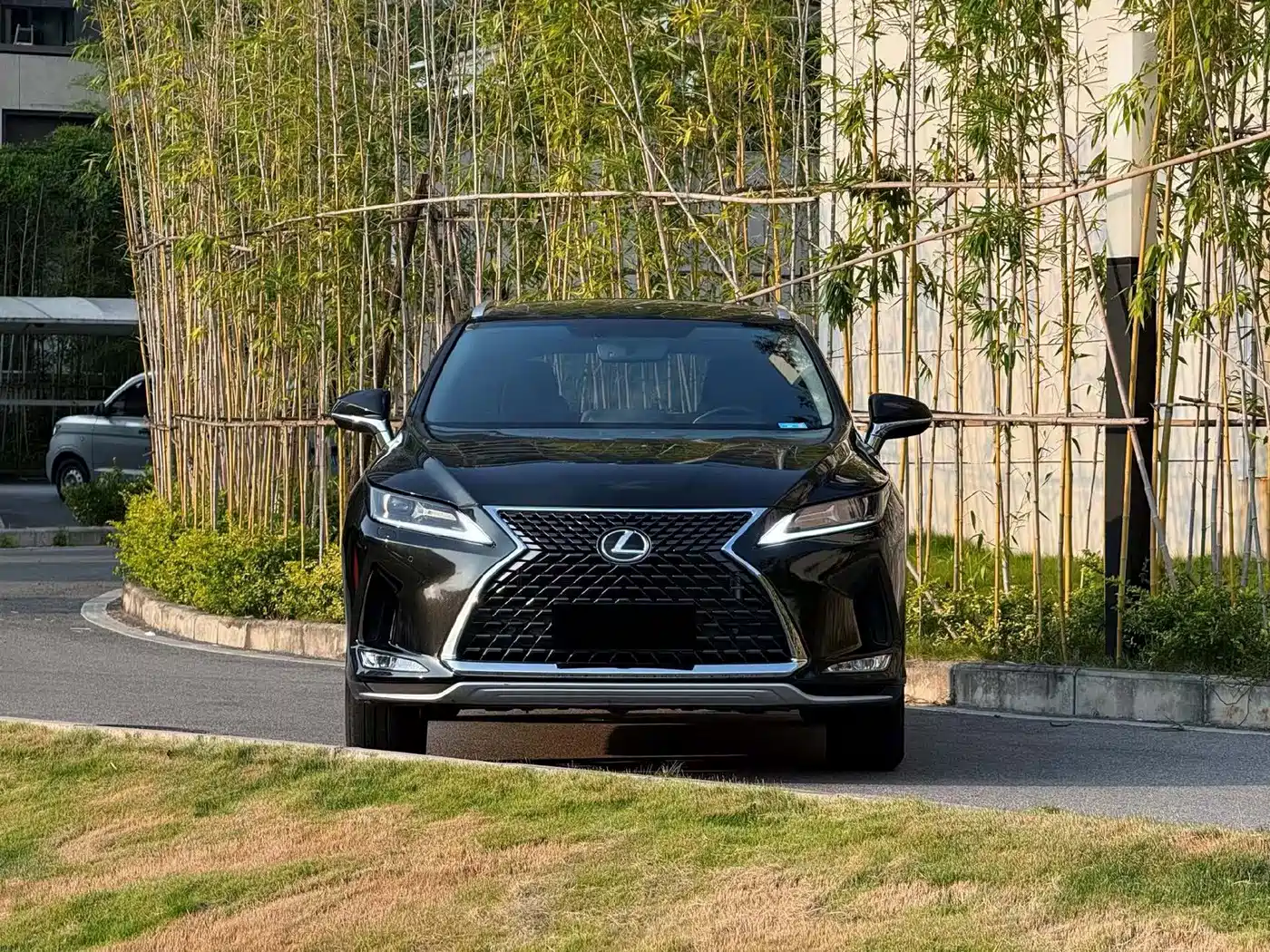 Фото 2 - Lexus RX
