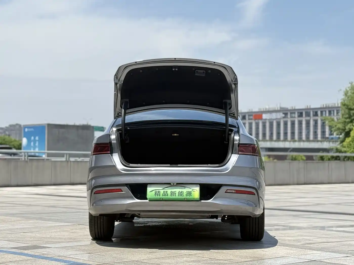 BYD Qin PLUS 2023 Champion Edition DM-i 120KM Excellence фото 12