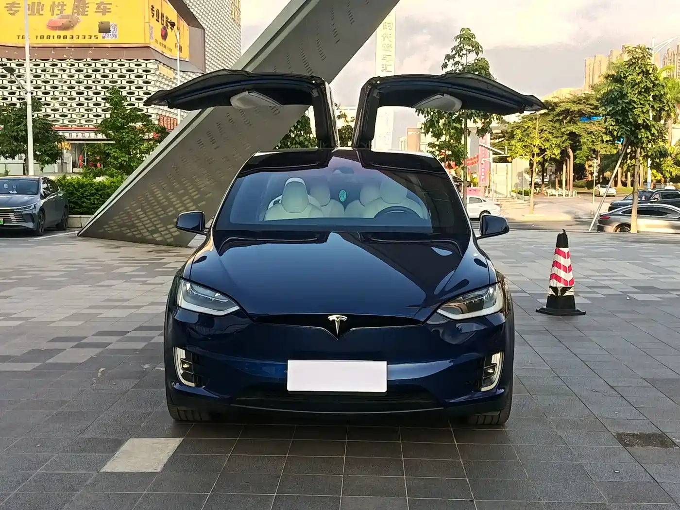 Tesla Model X 2016 2016 Model X P100D Performance