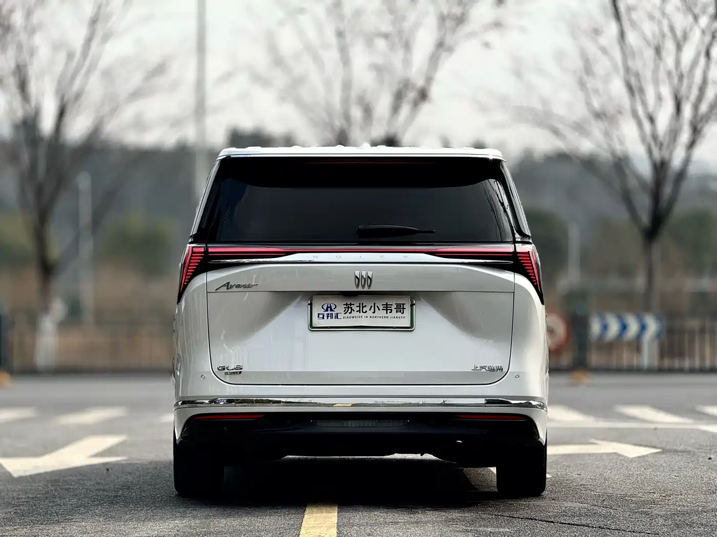 BUICK GL8 NEW ENERGY