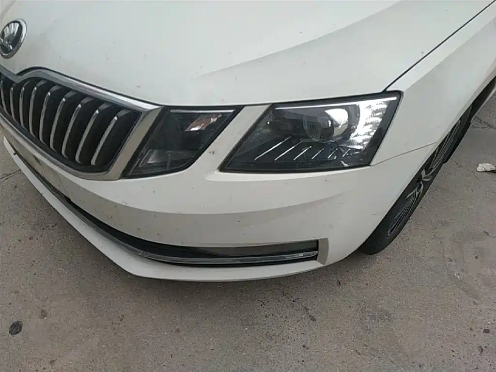 Škoda Octavia 2019 TSI230 DSG Luxury Edition фото 24