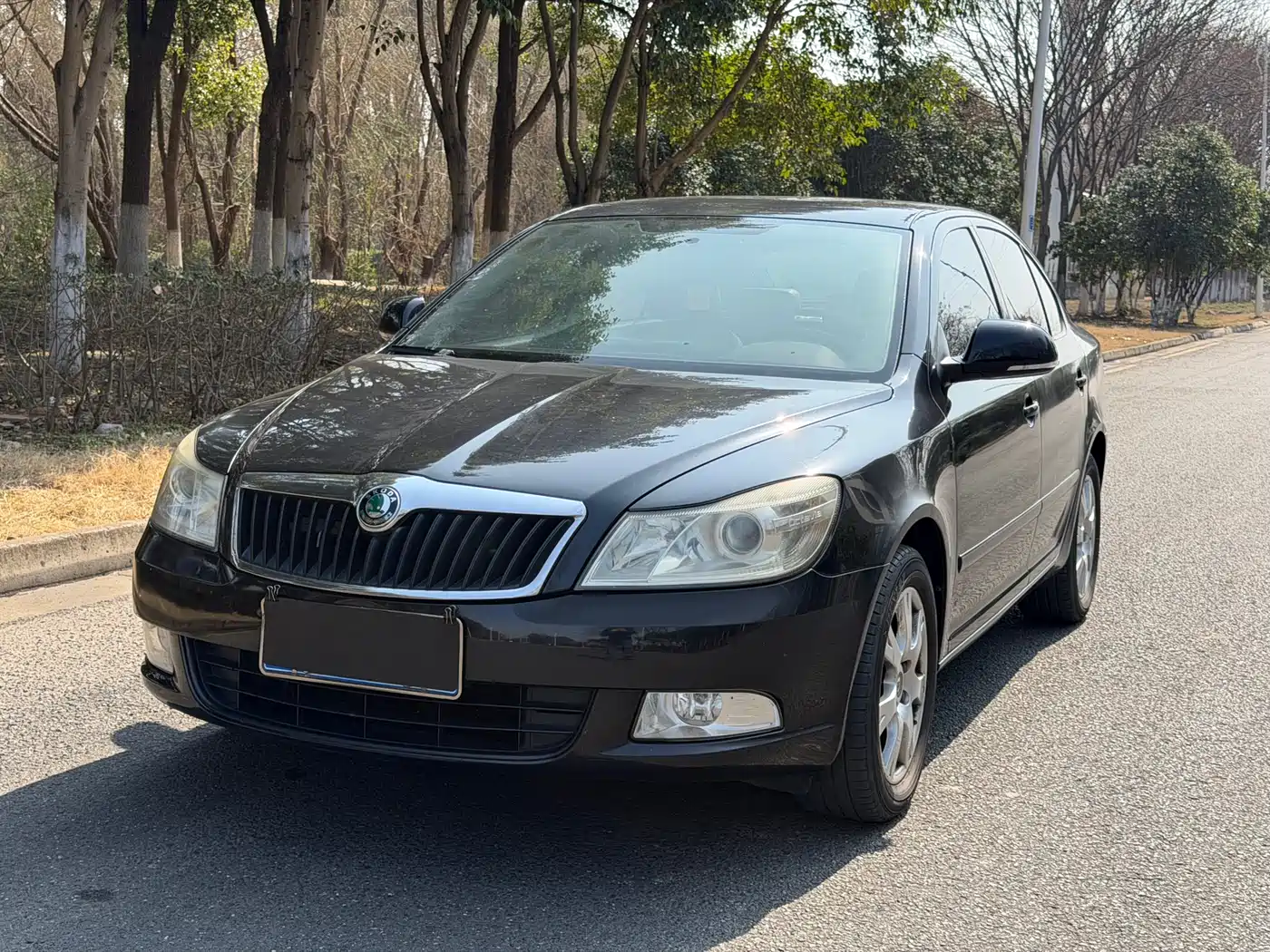Škoda Octavia 2013 1.6L Automatic Elite Edition