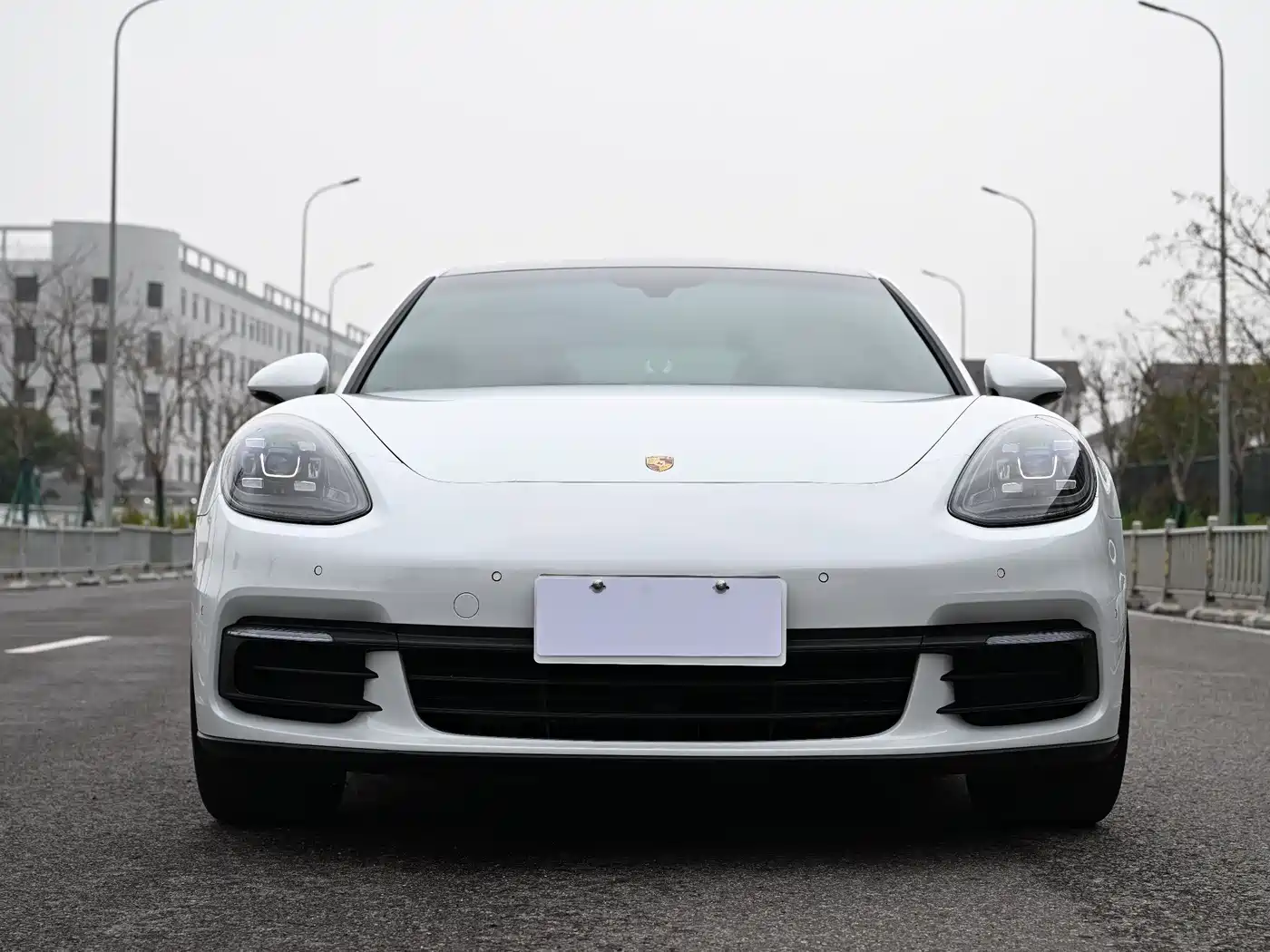 Porsche Panamera 2017 Panamera 3.0T фото 2