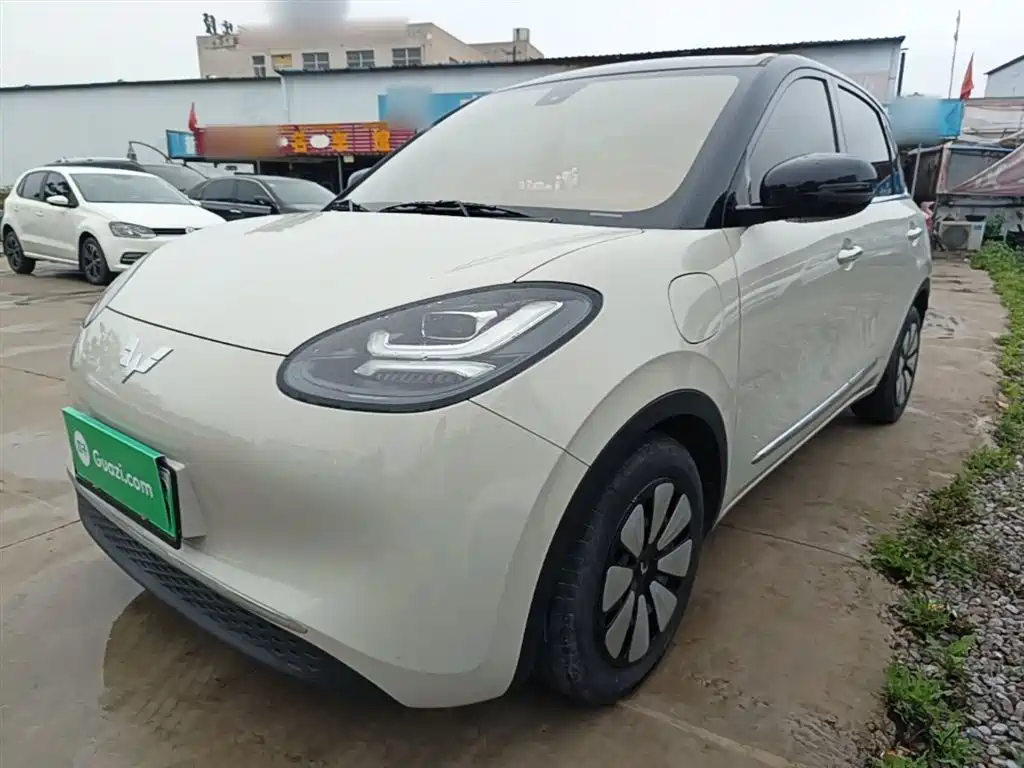 Wuling Motors Wuling Bingo 2023 333km Joyful Version