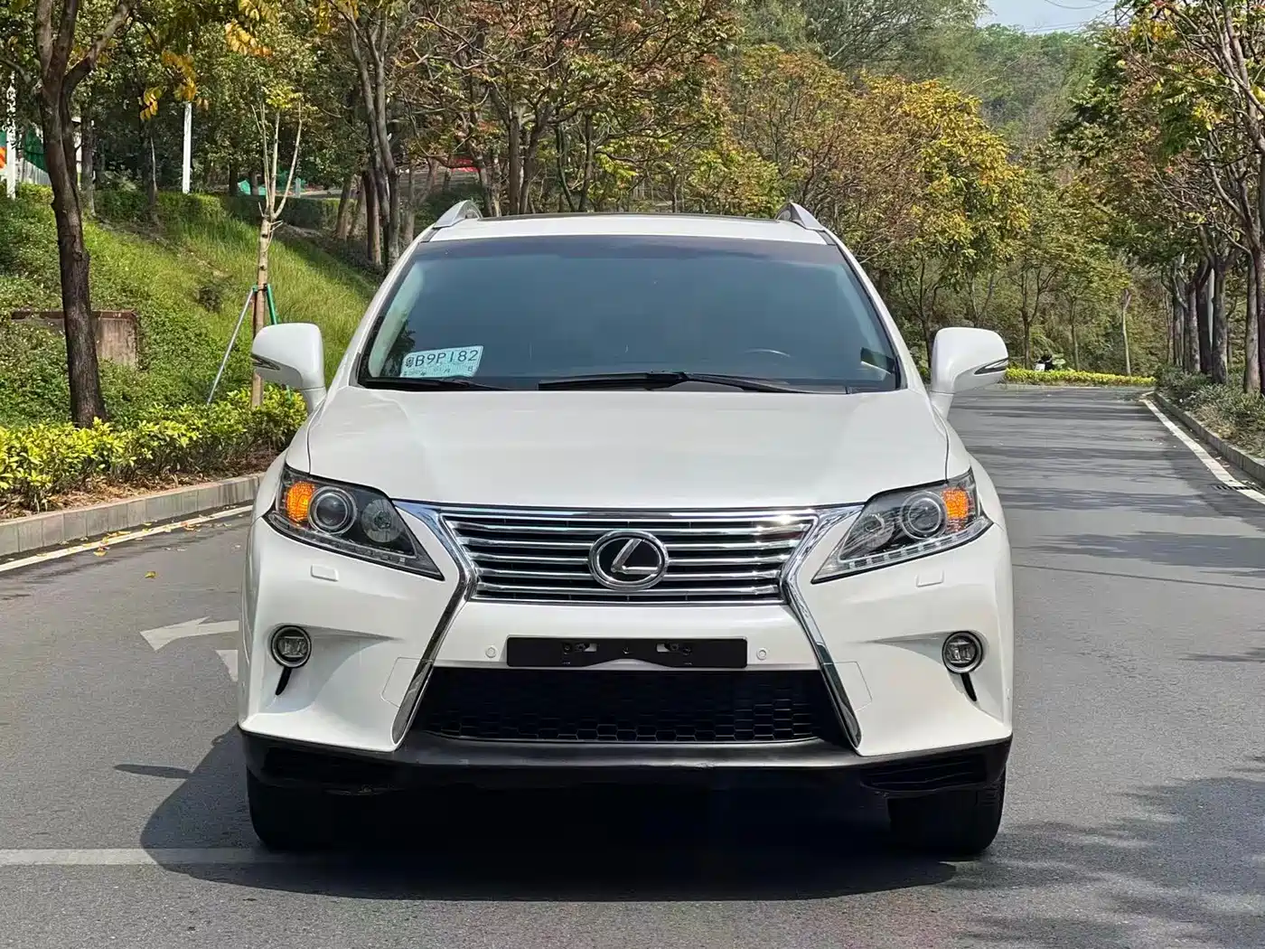 Lexus RX Classic 2014 2013 270 Elite