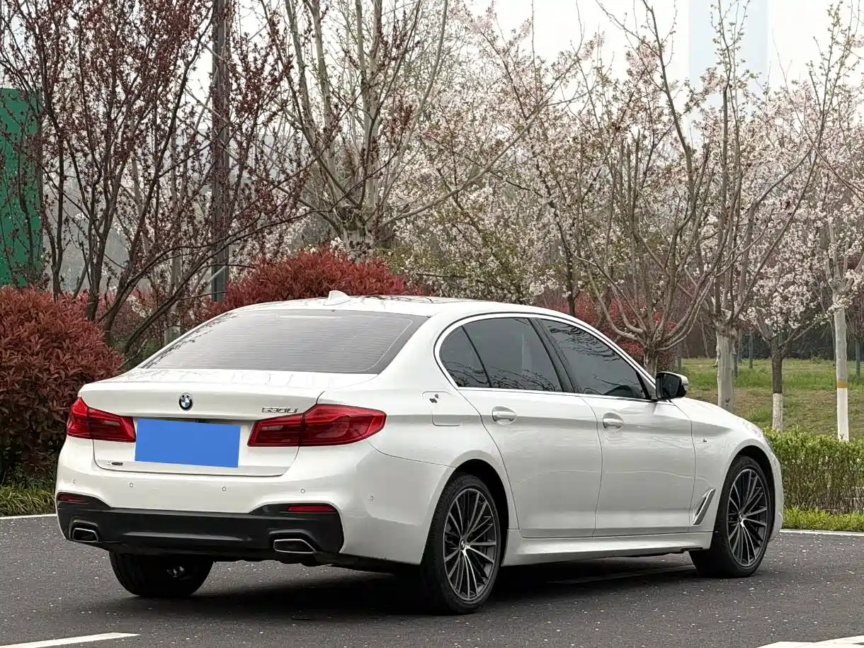 BMW 5 Series 2020 Model 530Li xDrive M Sport Package фото 5