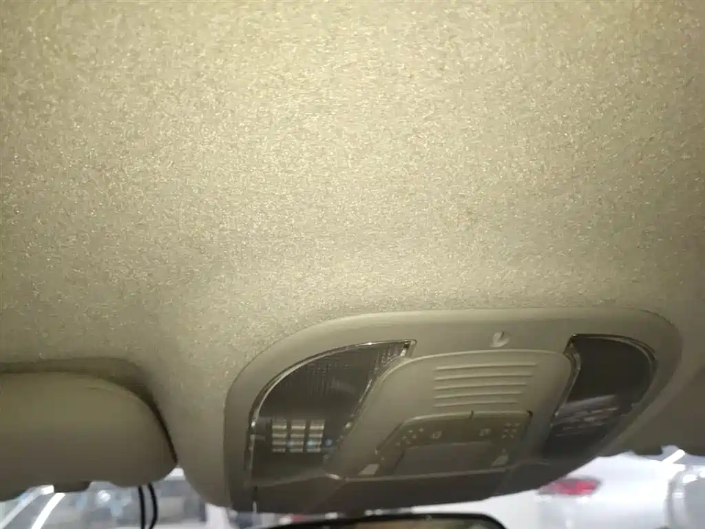 BYD Qin 2019 1.5L Automatic Luxury Edition фото 18