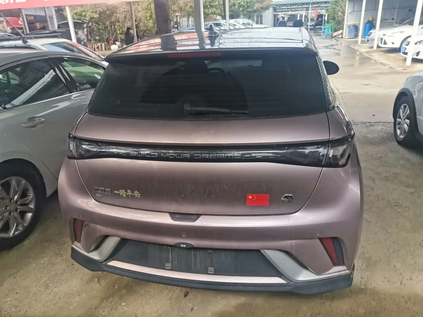 BYD DOLPHIN