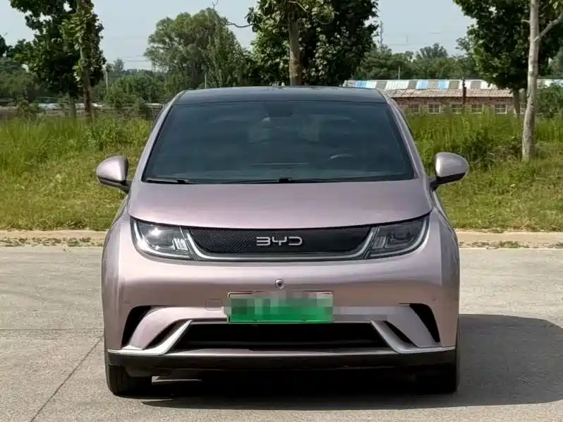 BYD Dolphin 2024 Glory Edition 420km Fashion Edition