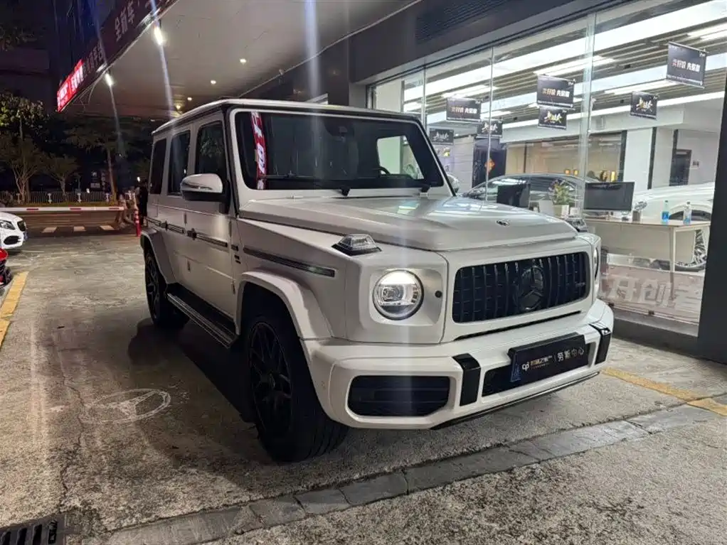 Mercedes-Benz G-Class 2019 G 500 фото 2