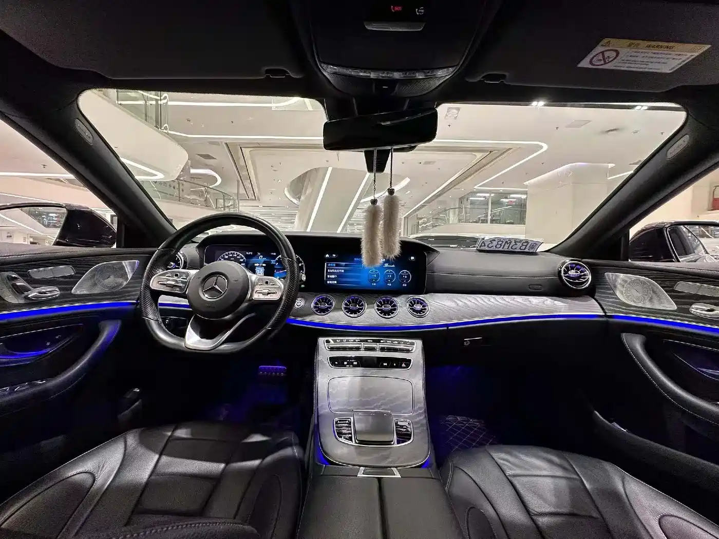 Mercedes-Benz CLS 2021 CLS 300 Luxury фото 9