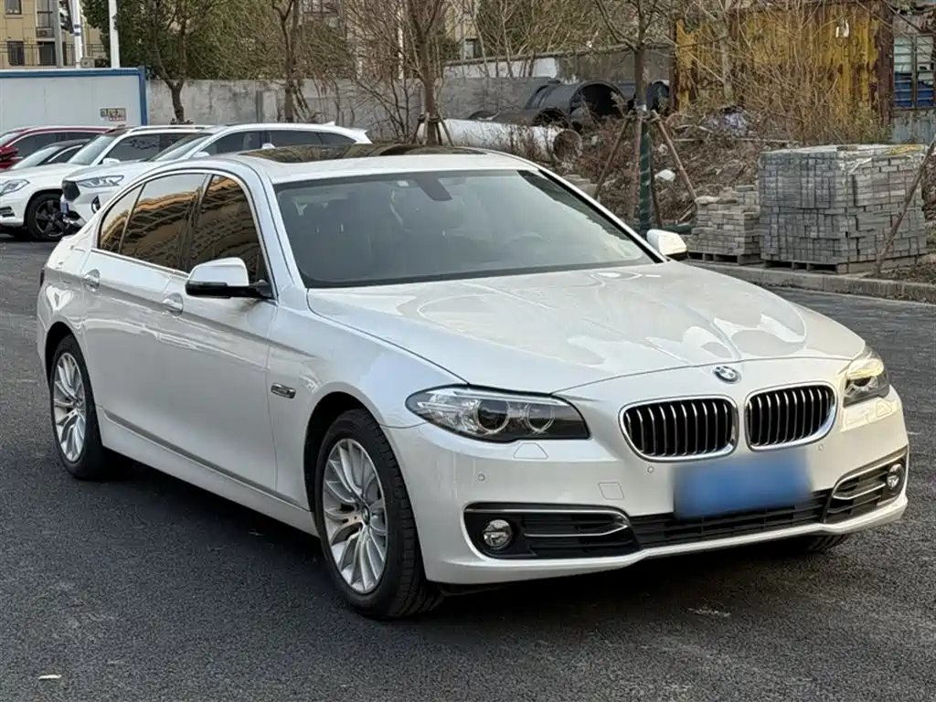 BMW 5 Series 2014 528Li Luxury Design Package фото 10