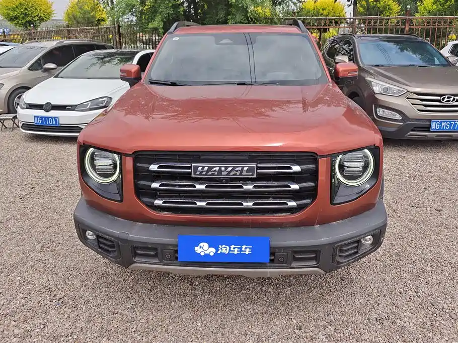 Haval Big Dog 2021 1.5T DCT 2WD Border Collie - Wangcai Edition фото 2