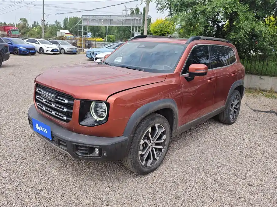 Haval Big Dog 2021 1.5T DCT 2WD Border Collie - Wangcai Edition