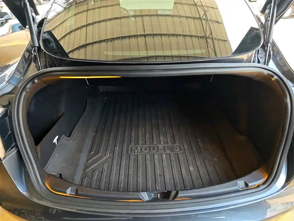 TESLA MODEL 3 (IMPORTED)