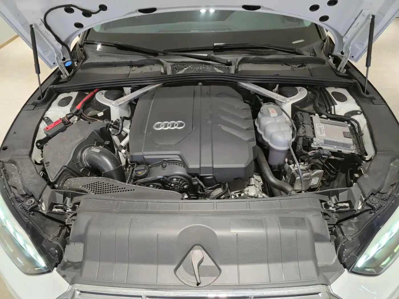 Audi A5 (Import) 2024 Sportback 40 TFSI Fashion Dynamic фото 20