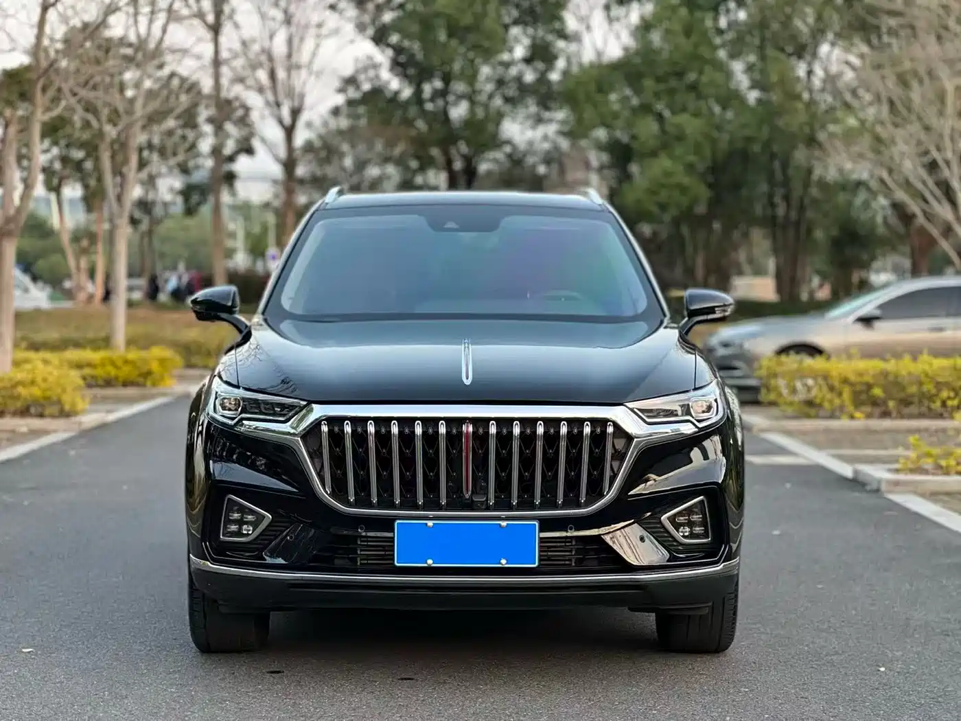 Hongqi HONGQI HS5