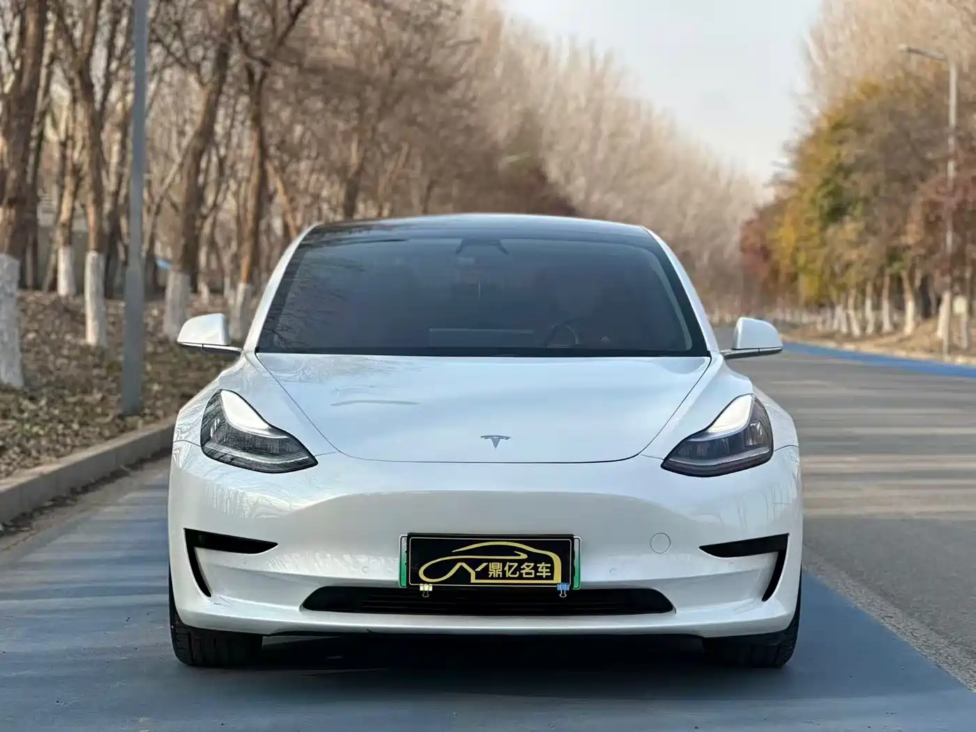 TESLA MODEL 3