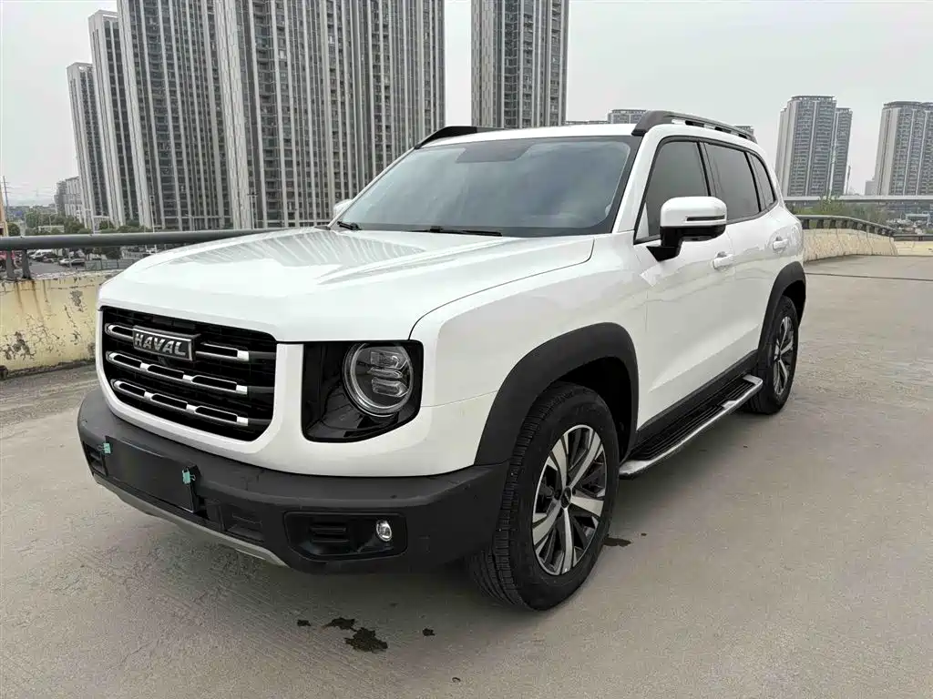 Haval Big Dog 2021 1.5T DCT 2WD Labrador Edition
