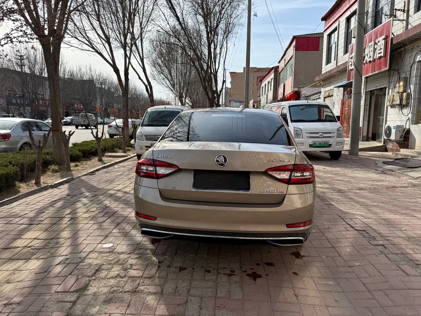 Škoda Octavia 2018 TSI230 DSG Luxury Edition фото 10