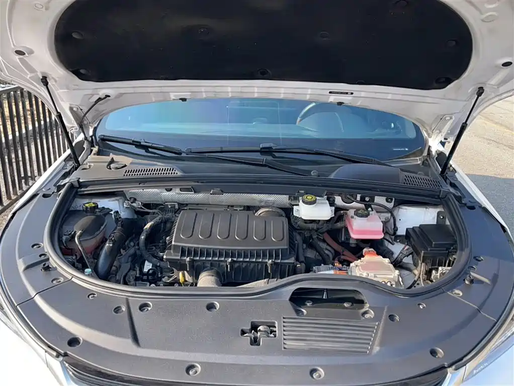 BYD Tang New Energy 2021 DM 2.0T 4WD Performance Premium фото 21