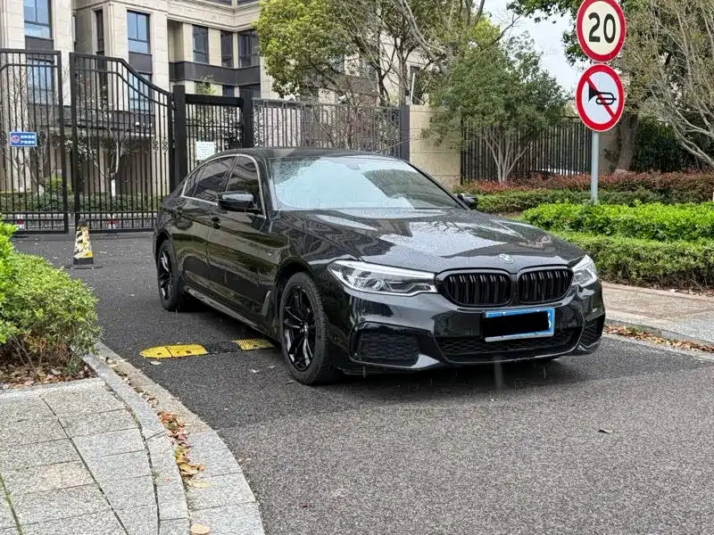 BMW 5 Series 2020 525Li M Sport Package фото 2