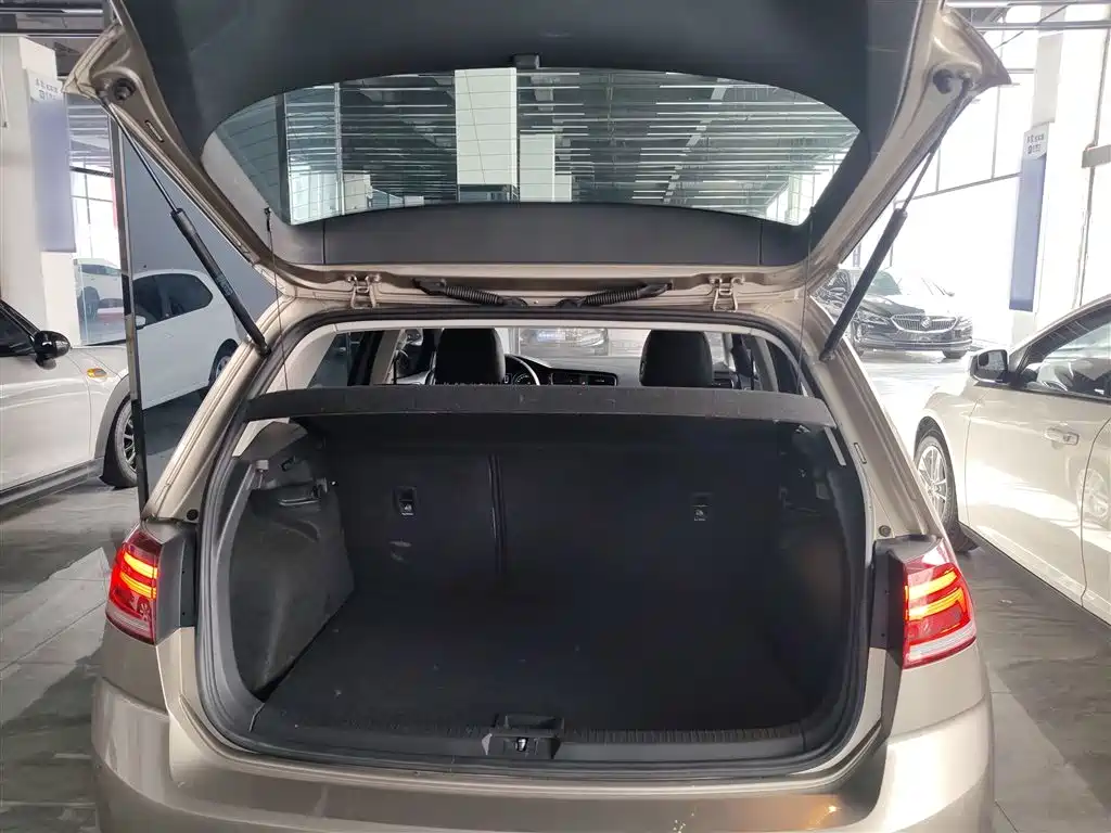 Volkswagen Golf 2019 200TSI DSG Comfort Progressive China VI фото 19