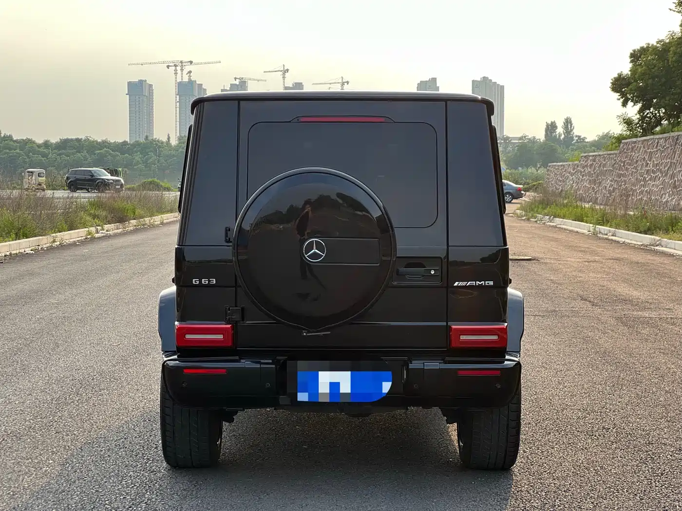 Mercedes-Benz G-Class 2010 G 500 фото 8