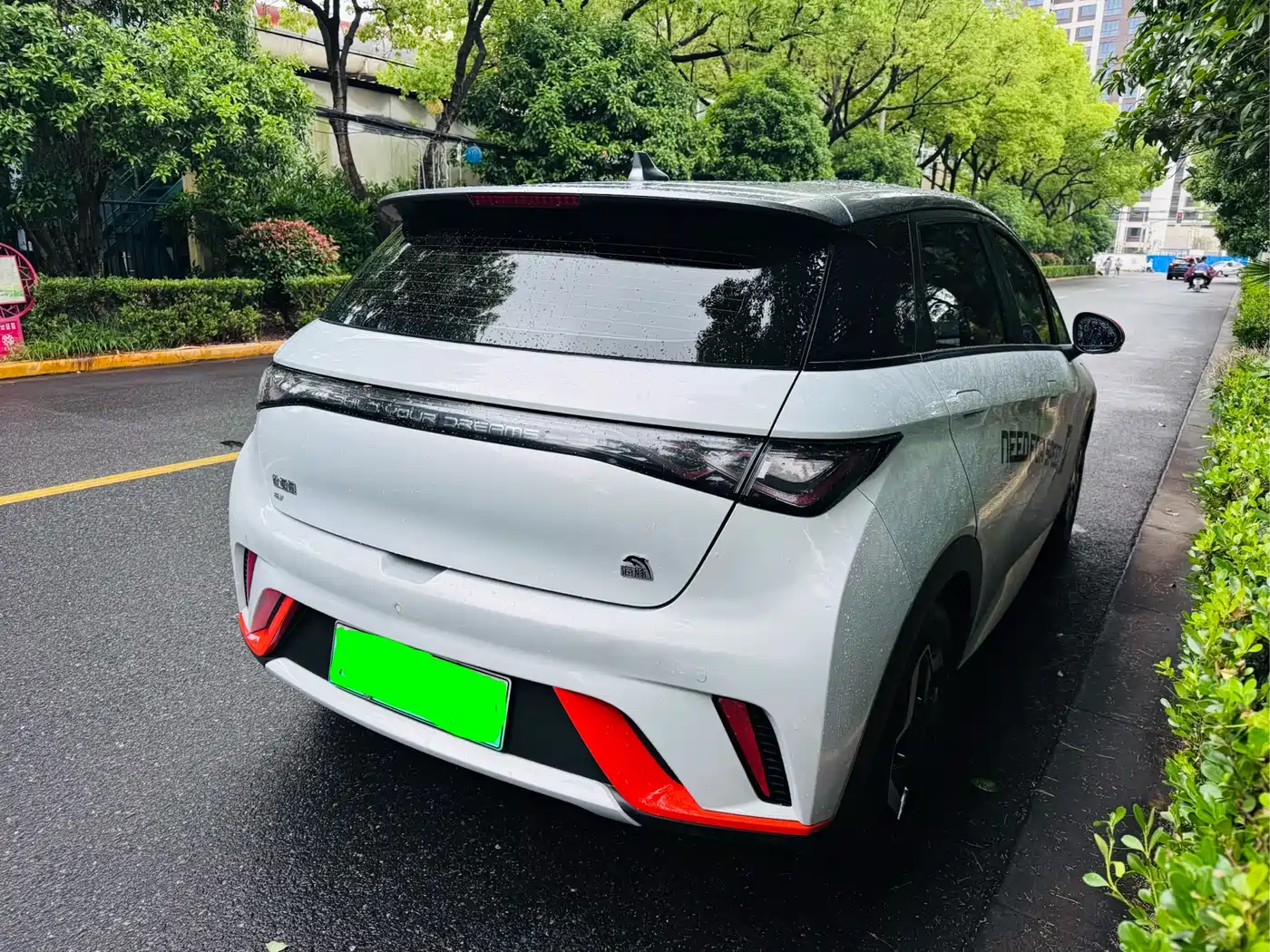 BYD Dolphin 2023 420km Freedom Edition фото 14