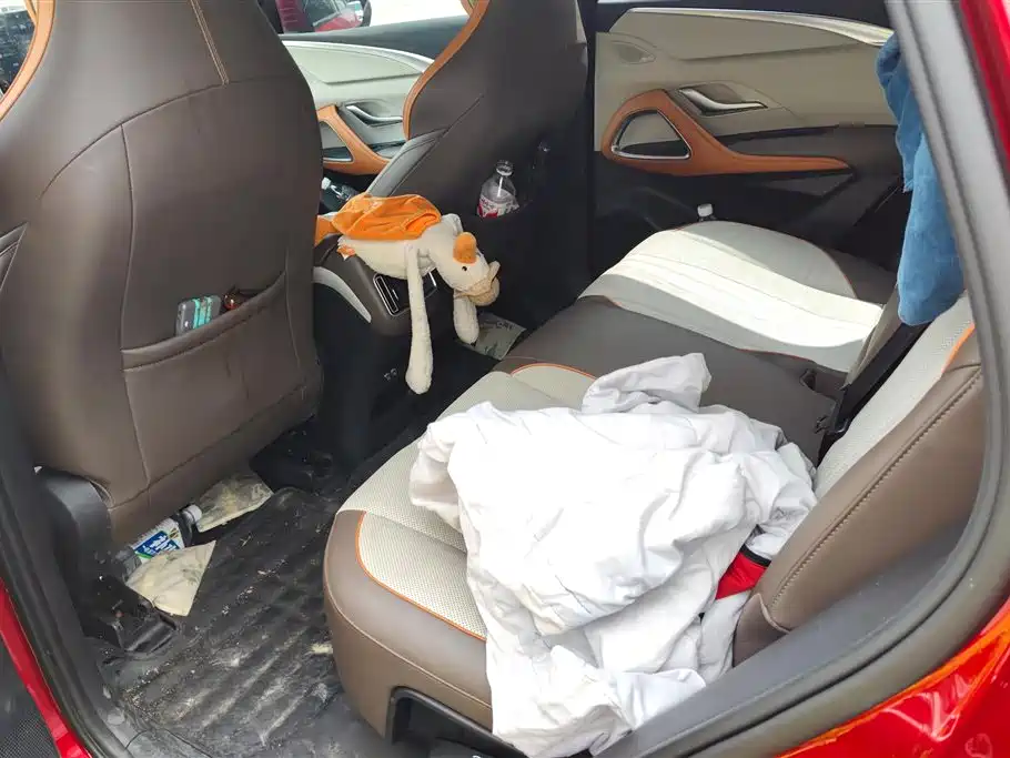 BYD Song Pro New Energy 2022 DM-i 110km Flagship Pro фото 11