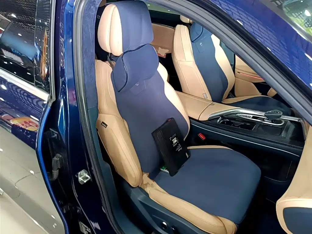 Voyah Auto VOYAH FREE 2021 AWD Standard Range Extender Exclusive Luxury Package фото 25