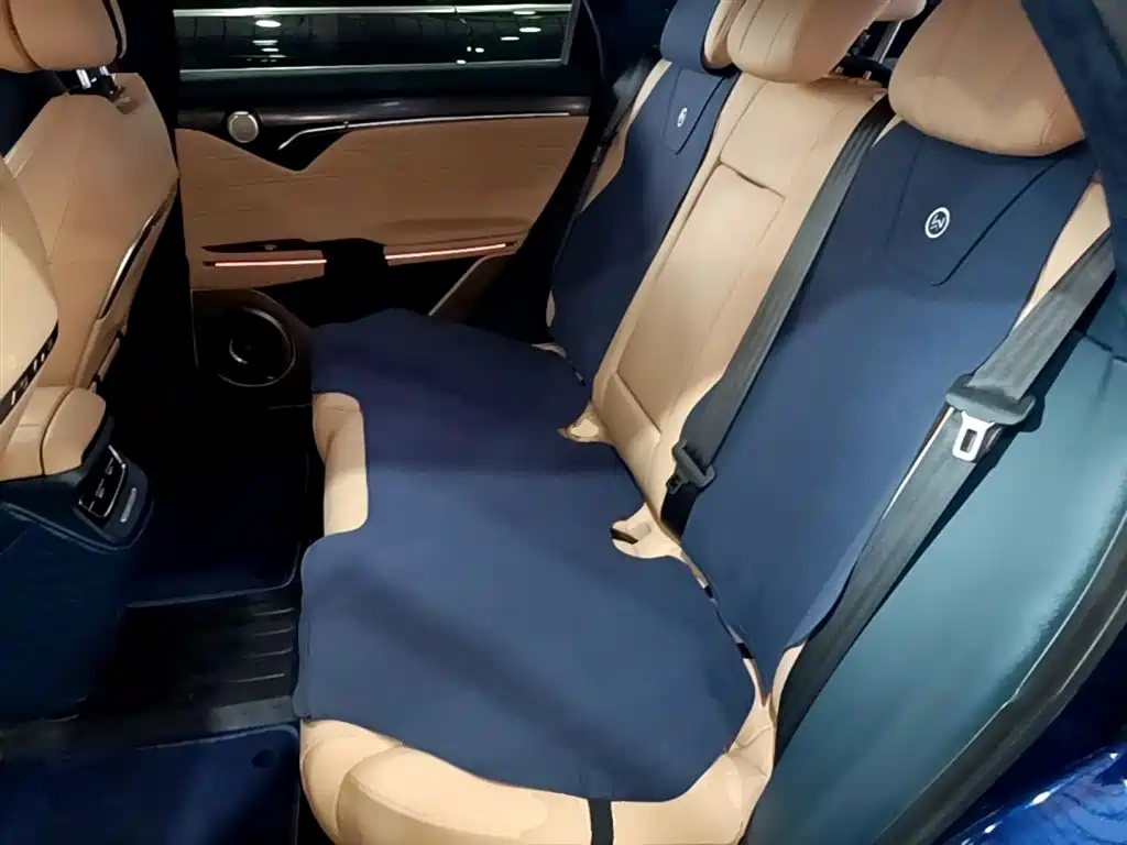 Voyah Auto VOYAH FREE 2021 AWD Standard Range Extender Exclusive Luxury Package фото 17
