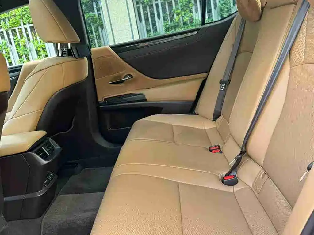 Lexus ES 2018 300h Excellence Edition China V фото 5