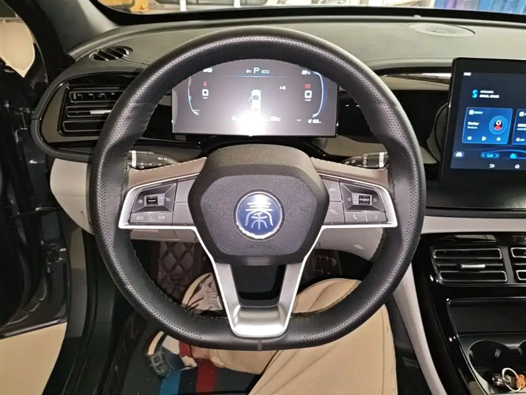 BYD Qin PLUS 2024 Glory Edition DM-i 55KM Leading фото 11