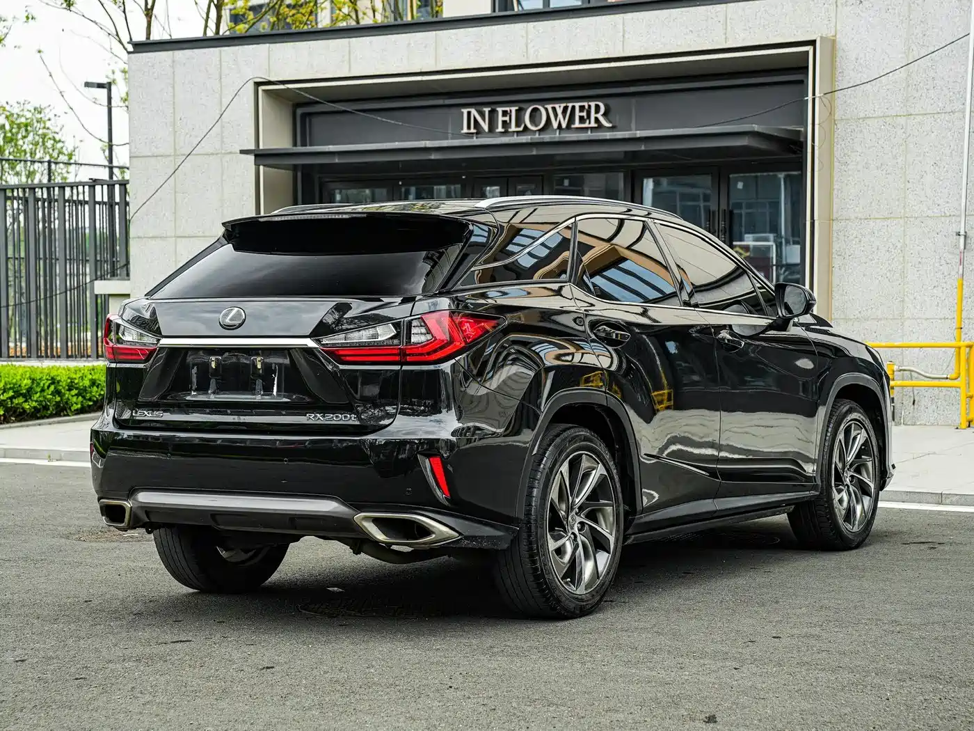 LEXUS RX