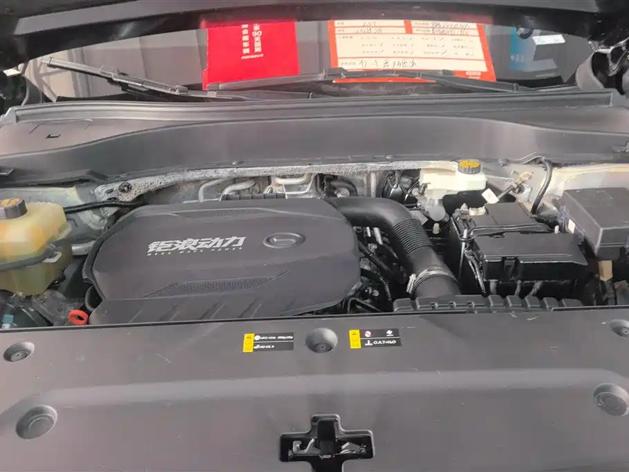 GAC Trumpchi Trumpchi GS8 2024 Navigator Series 2.0TGDI 2WD Luxury Smart Connect Edition фото 10