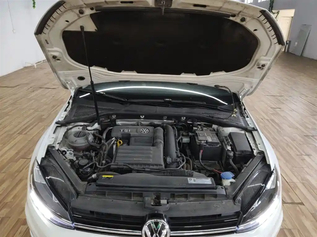 Volkswagen Golf 2019 280TSI DSG Comfort China VI фото 16
