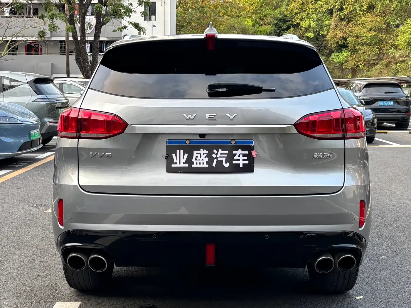 WEY VV6 2019 2018 2.0T 4WD Flagship China V
