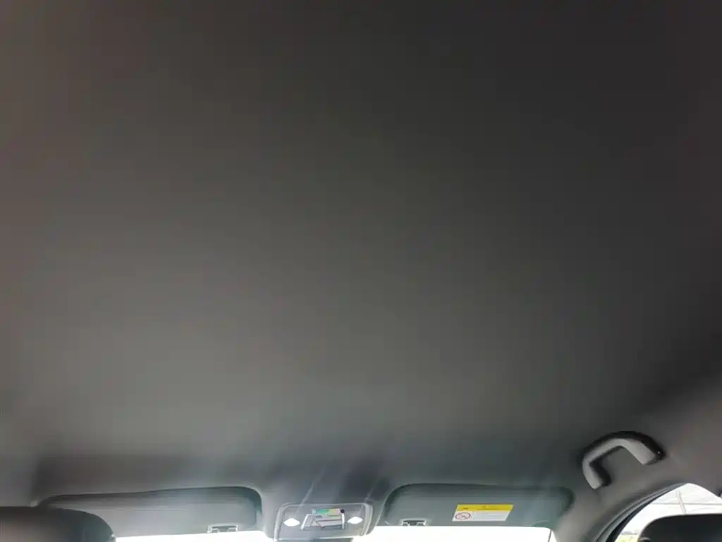 BYD Seagull 2025 Smart Drive Edition 305km Vitality Version фото 18