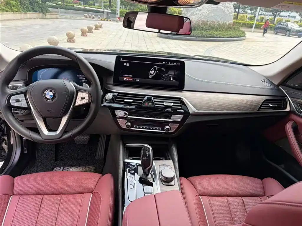 BMW 5 Series 2022 Facelift II 530Li Luxury Trim Premium Package фото 6