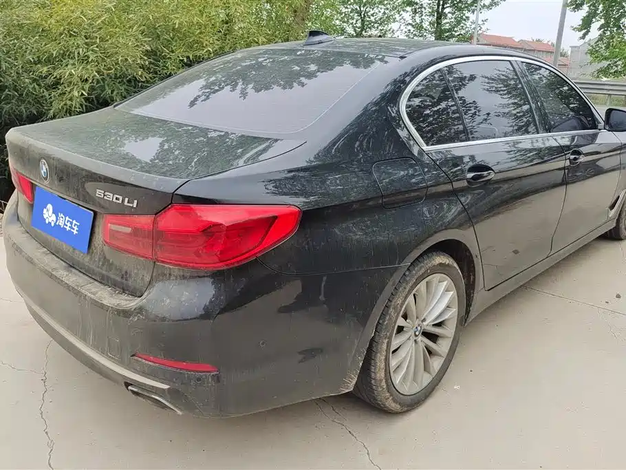 BMW 5 Series 2020 530Li Leading M Sport Package фото 3