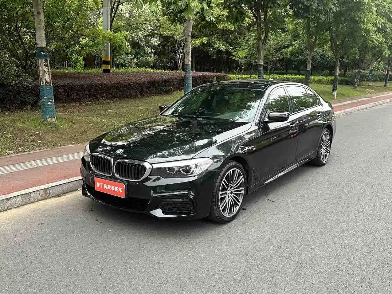 BMW 5 Series 2019 530Li Leading M Sport Package