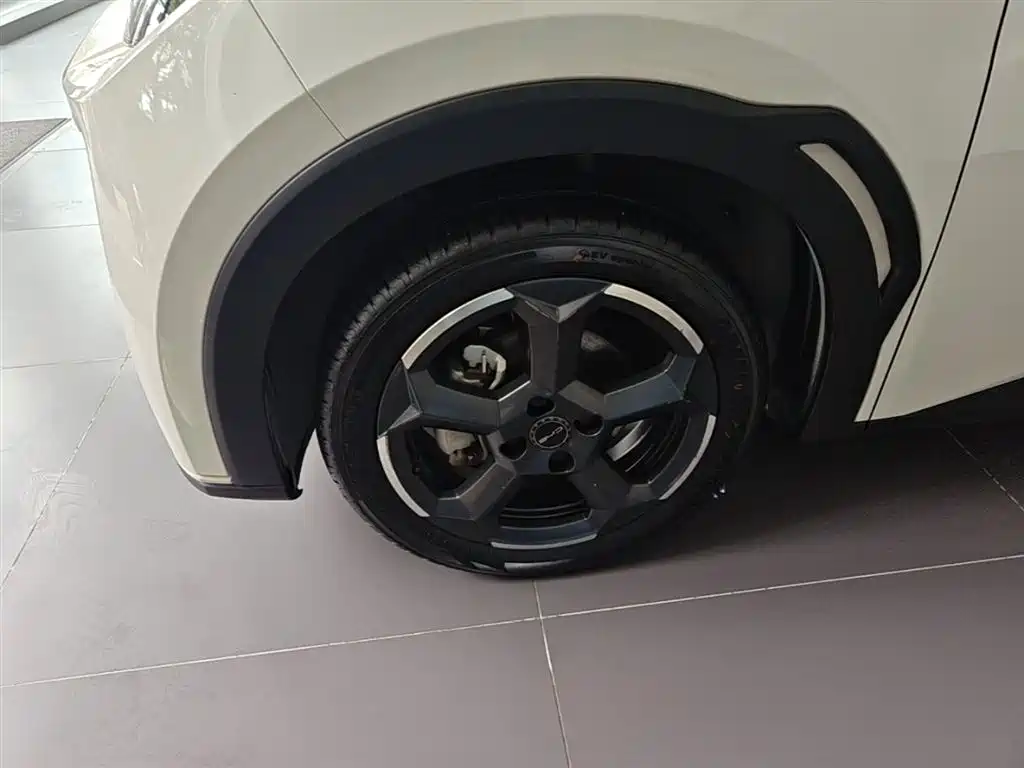 BYD Seagull 2023 Flying Edition фото 23