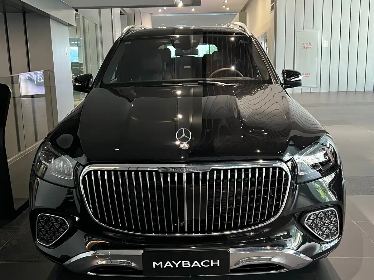 Mercedes-Benz Maybach GLS 2025 GLS 480 4MATIC фото 2