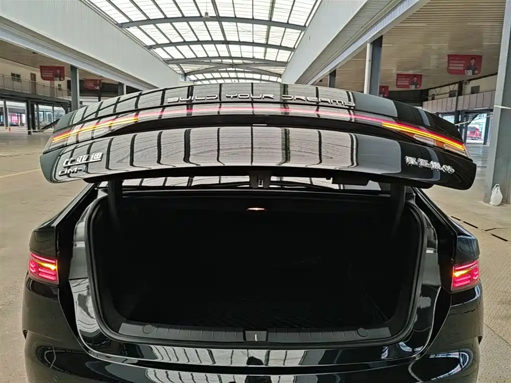 BYD Destroyer 05 2024 Glory Edition DM-i 55KM Luxury фото 19