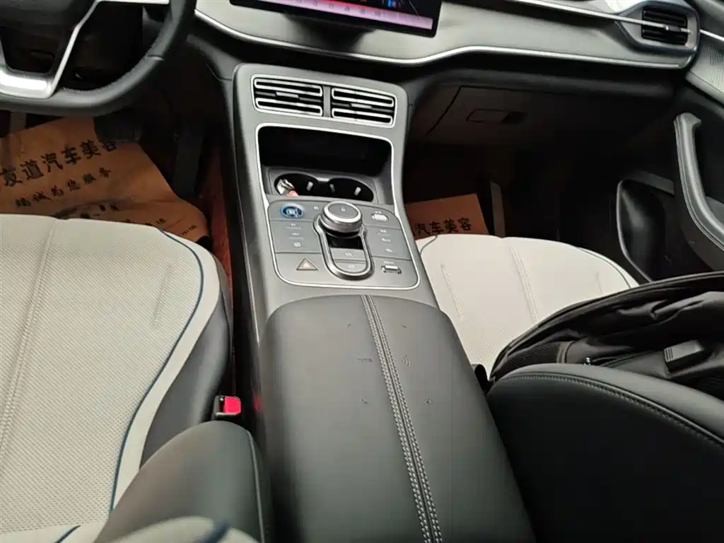 BYD Destroyer 05 2024 Glory Edition DM-i 55KM Luxury фото 14