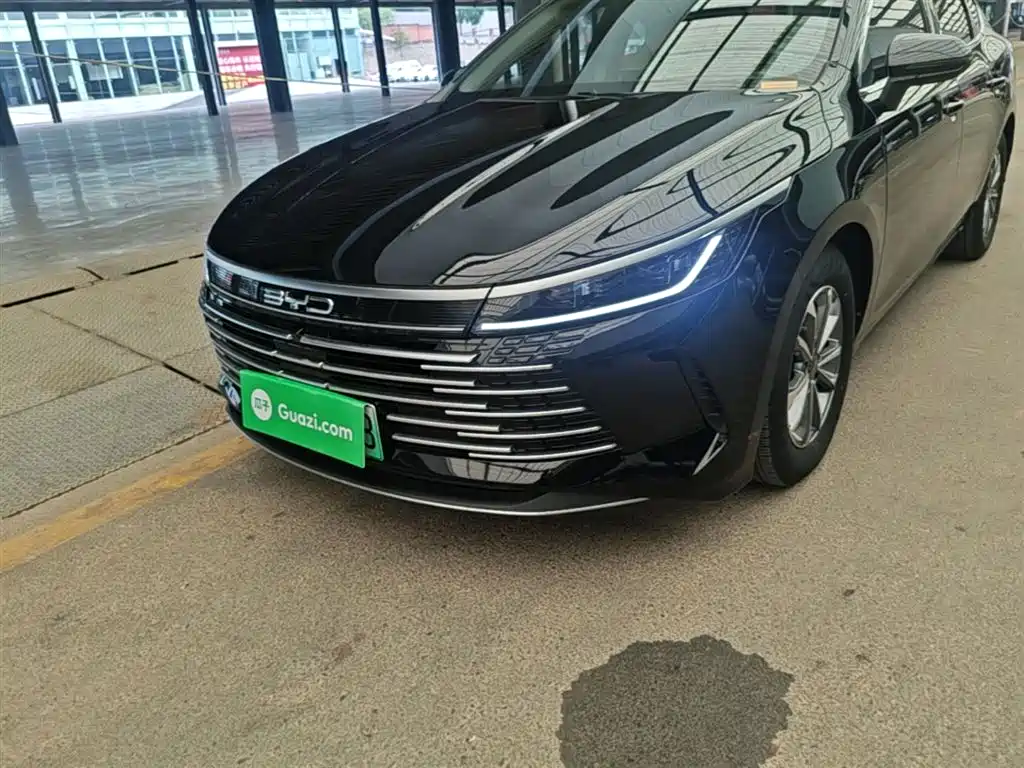 BYD Destroyer 05 2024 Glory Edition DM-i 55KM Luxury фото 24