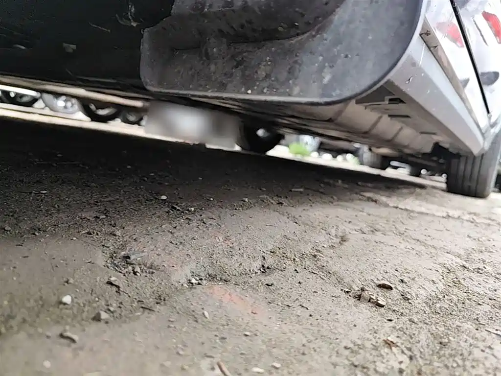 BYD Destroyer 05 2024 Glory Edition DM-i 55KM Luxury фото 8