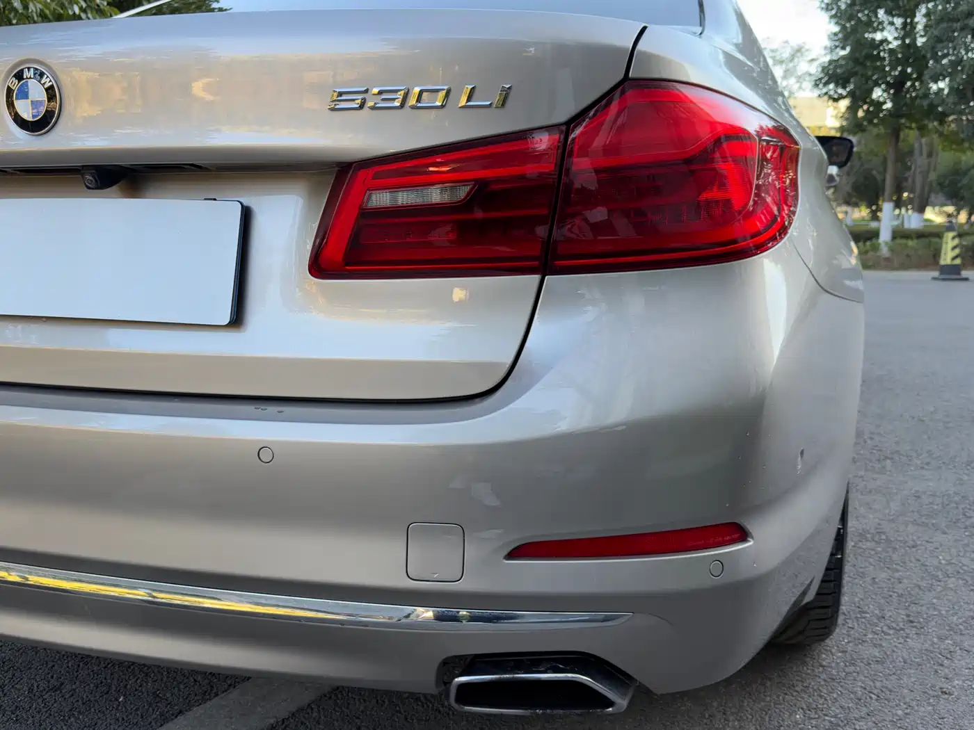 BMW 5 Series 2018 Facelift 530Li Leading Luxury Package фото 26